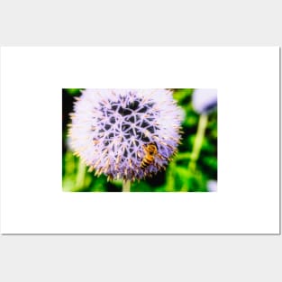 Bee On Small Globe Thistle 6 Posters and Art